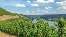 Bildquelle: pixabay.com Stadt Hamm