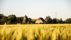 Bildquelle: pixabay.com Stadt Recklinghausen